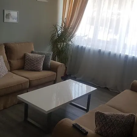 Aki City Center Apartment *